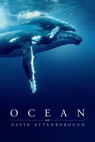 Ocean with David Attenborough – Movie